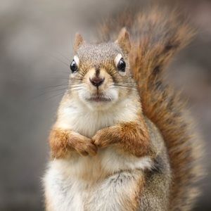 Meet your Posher, Diego